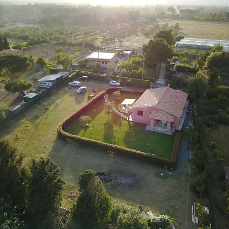 Bed and Breakfast Il Melograno Di Nora Pula Exterior foto